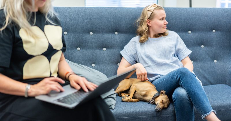 Vastuullisuus on (onneksi) muutakin kuin viherlupauksia